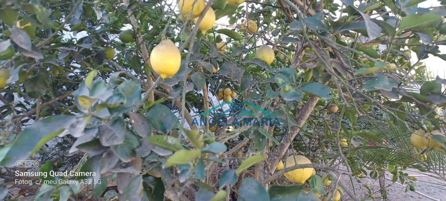 Terreno / Lote à venda, 366m2 em Terra Firme, Rio Das Ostras - RJ - imagem 4 Foto 4 de Terreno / Lote à venda, 366m2 em Terra Firme, Rio Das Ostras - RJ
