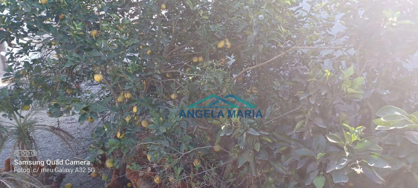 Terreno / Lote à venda, 366m2 em Terra Firme, Rio Das Ostras - RJ - imagem 5 Foto 5 de Terreno / Lote à venda, 366m2 em Terra Firme, Rio Das Ostras - RJ