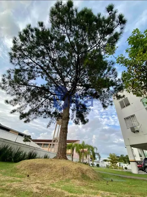 Foto 1 de Apartamento com 2 quartos à venda, 65m2 em Ponta das Canas, Florianopolis - SC