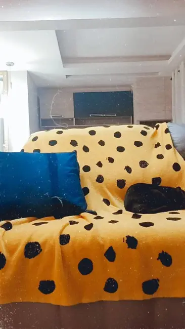 Cobertura com 3 quartos à venda, 135m2 em Sao Jose Dos Campos - SP - imagem 4 Foto 4 de Cobertura com 3 quartos à venda, 135m2 em Sao Jose Dos Campos - SP