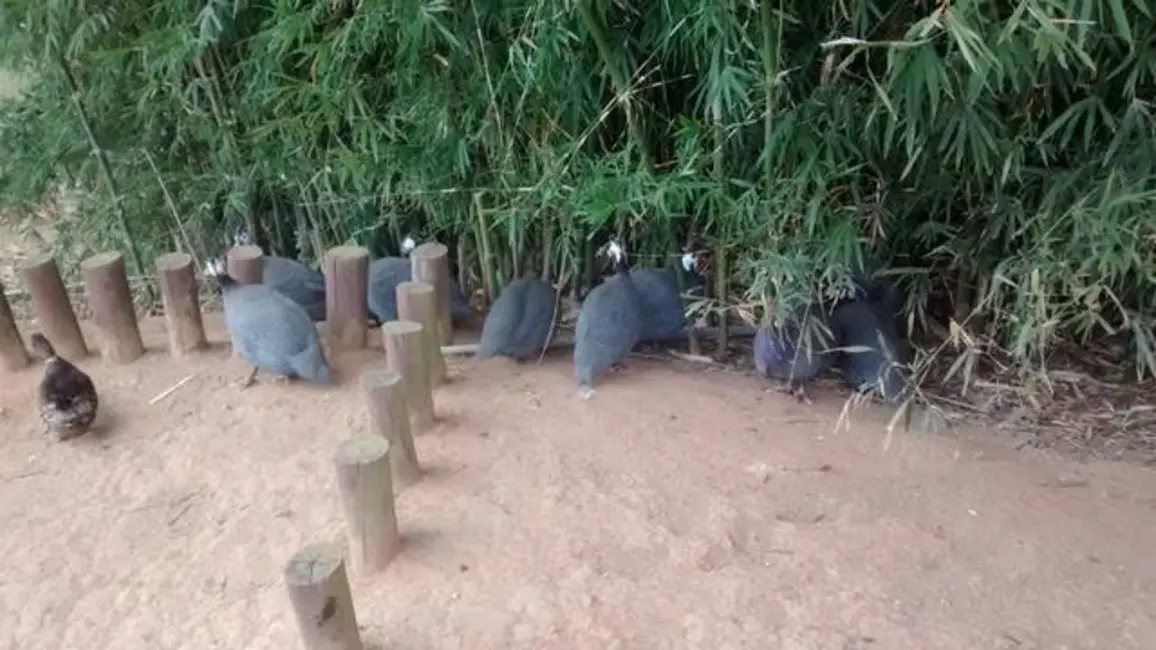 Terreno / Lote à venda, 253m2 em Sao Jose Dos Campos - SP - imagem 9 Foto 9 de Terreno / Lote à venda, 253m2 em Sao Jose Dos Campos - SP