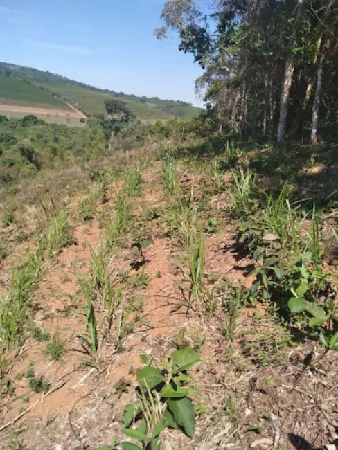 Terreno / Lote à venda, 24200m2 em Varginha - MG - imagem 5 Foto 5 de Terreno / Lote à venda, 24200m2 em Varginha - MG