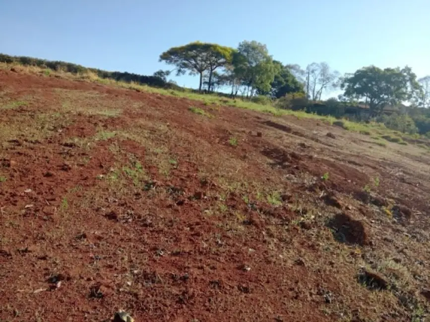 Foto 4 de Terreno / Lote à venda, 14000m2 em Varginha - MG