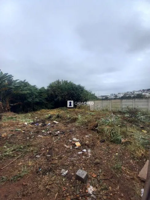 Terreno / Lote à venda, 545m2 em Vila Pinto, Varginha - MG - imagem 3 Foto 3 de Terreno / Lote à venda, 545m2 em Vila Pinto, Varginha - MG