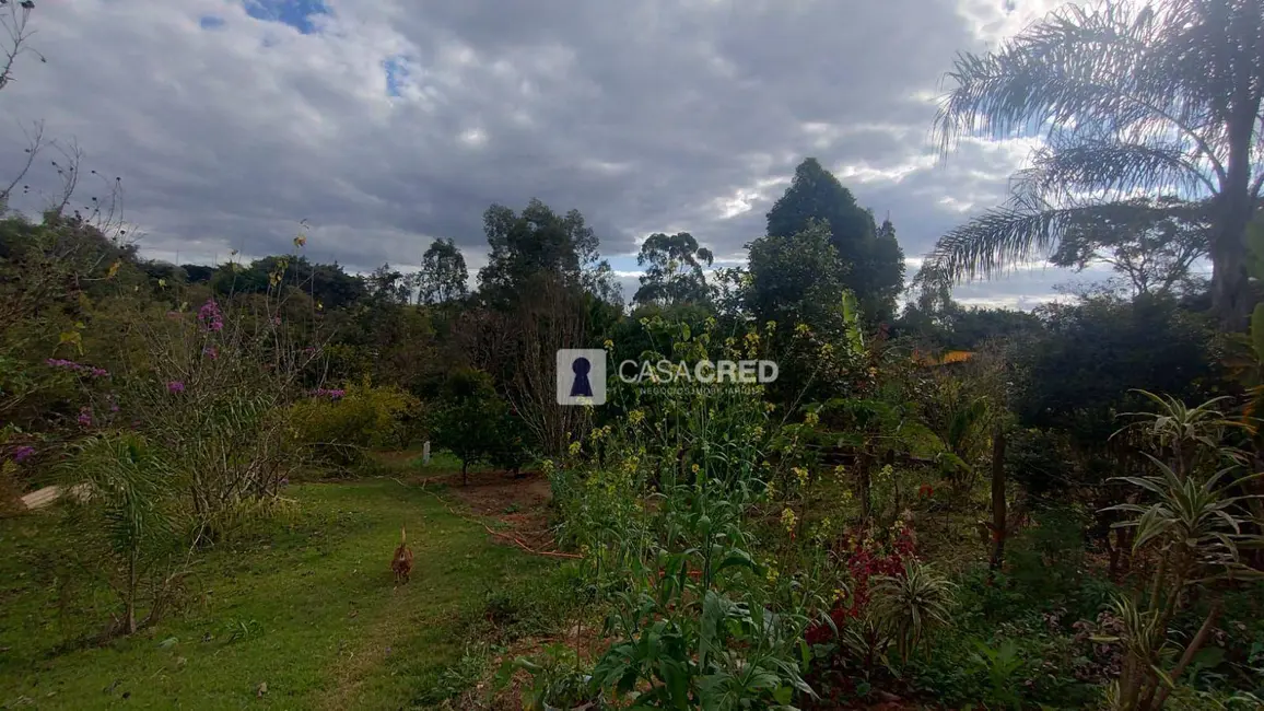 Chácara com 3 quartos à venda, 1000m2 em Tres Pontas - MG - imagem 5 Foto 5 de Chácara com 3 quartos à venda, 1000m2 em Tres Pontas - MG