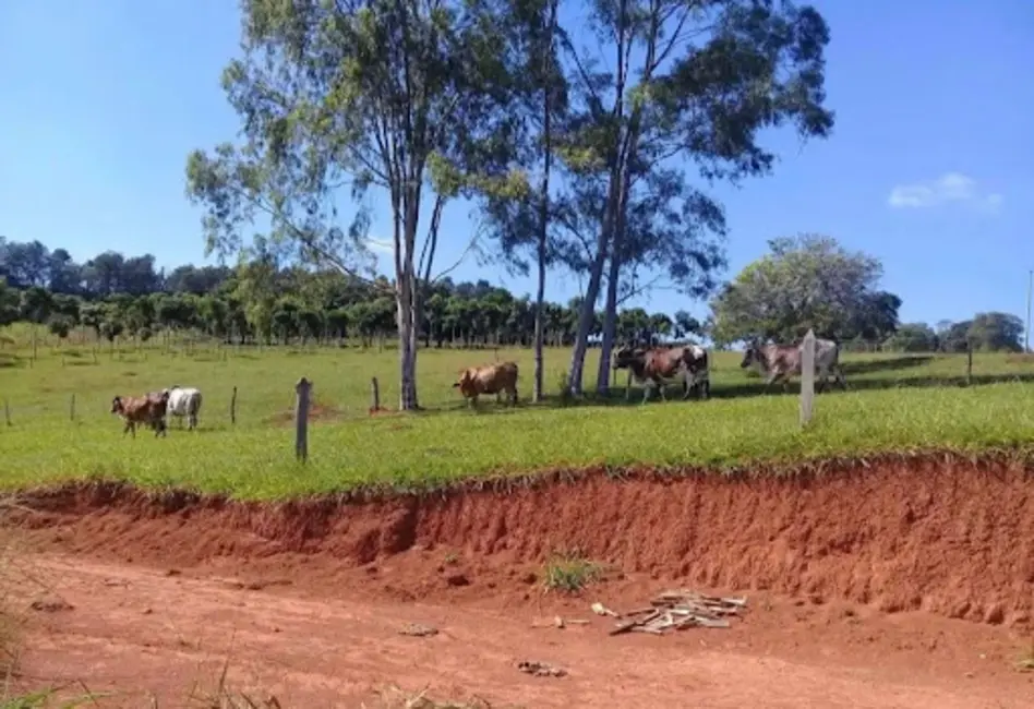 Foto 8 de Sítio / Rancho com 3 quartos à venda em Área Rural de Varginha, Varginha - MG