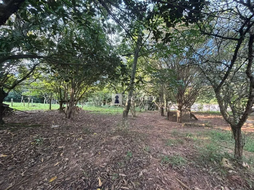 Foto 8 de Sítio / Rancho com 2 quartos à venda, 18000m2 em Eloi Mendes - MG