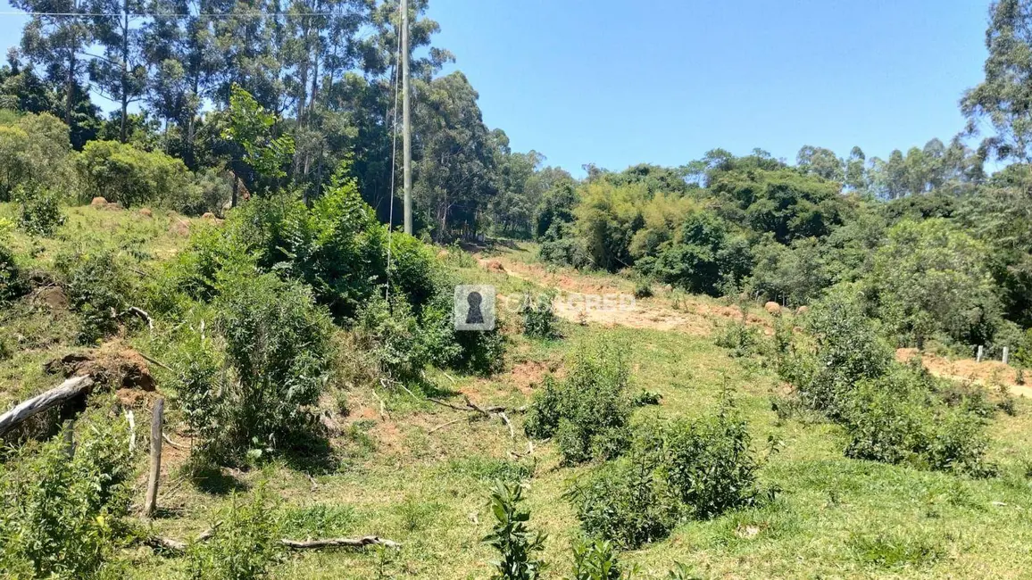 Foto 7 de Sítio / Rancho com 2 quartos à venda, 18000m2 em Eloi Mendes - MG