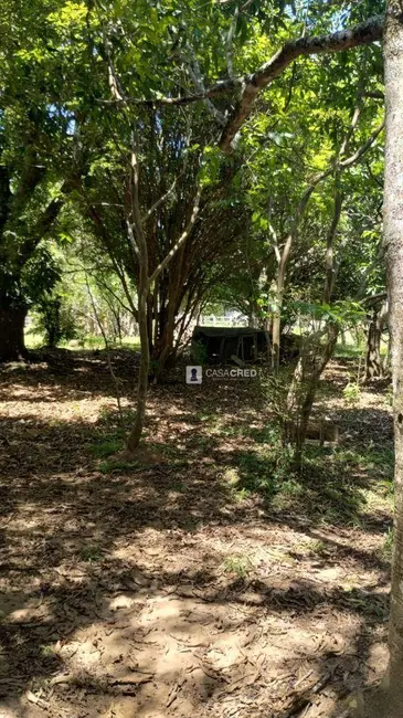 Foto 6 de Sítio / Rancho com 2 quartos à venda, 18000m2 em Eloi Mendes - MG