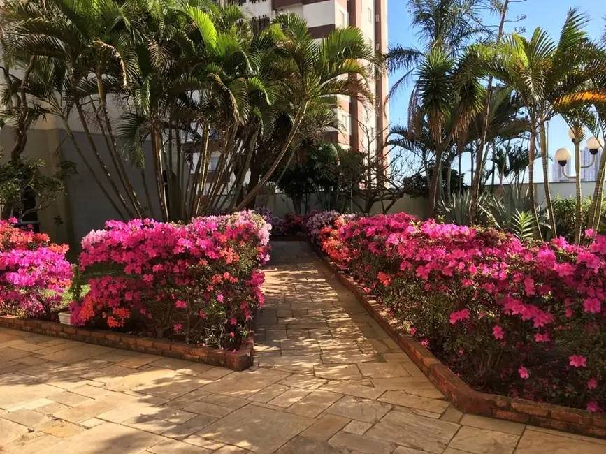 Foto 8 de Apartamento com 3 quartos à venda, 65m2 em Vila Granada, São Paulo - SP