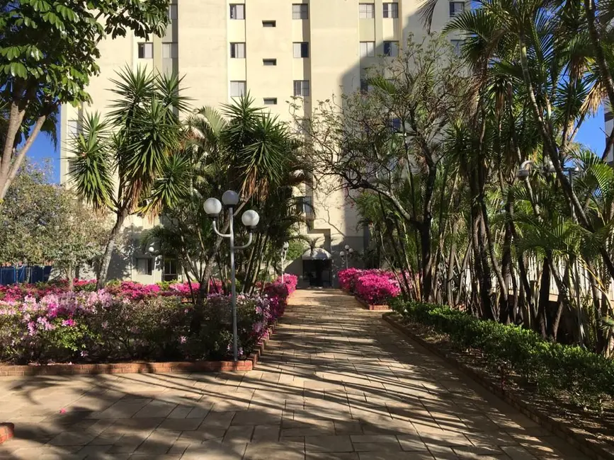 Foto 4 de Apartamento com 3 quartos à venda, 65m2 em Vila Granada, São Paulo - SP