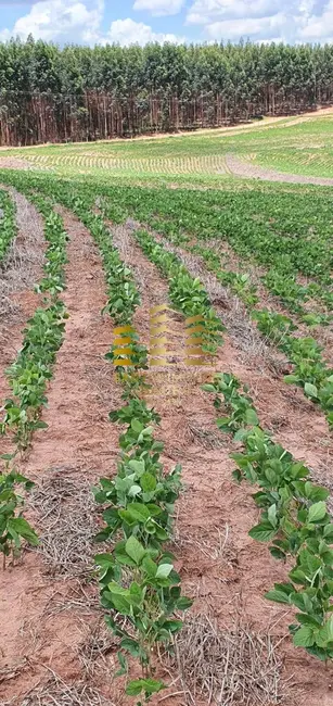 Fazenda / Haras à venda, 71m2 em Área Rural de Bauru, Bauru - SP - imagem 8 Foto 8 de Fazenda / Haras à venda, 71m2 em Área Rural de Bauru, Bauru - SP