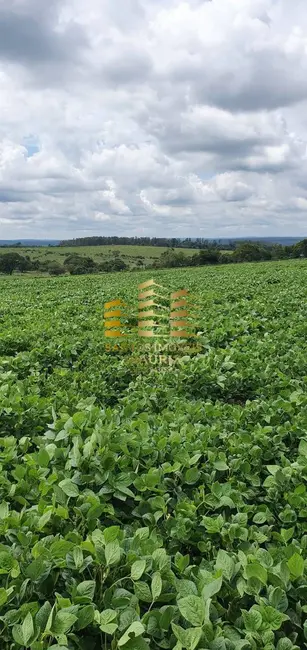 Fazenda / Haras à venda, 71m2 em Área Rural de Bauru, Bauru - SP - imagem 9 Foto 9 de Fazenda / Haras à venda, 71m2 em Área Rural de Bauru, Bauru - SP