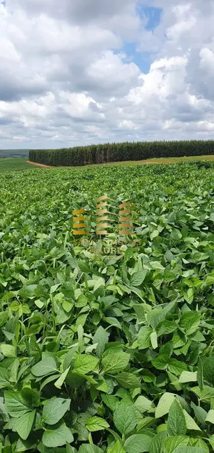 Fazenda / Haras à venda, 71m2 em Área Rural de Bauru, Bauru - SP - imagem 3 Foto 3 de Fazenda / Haras à venda, 71m2 em Área Rural de Bauru, Bauru - SP