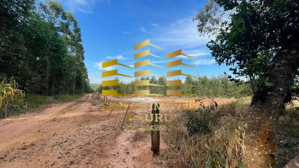 Fazenda / Haras à venda, 220m2 em Centro, Bauru - SP - imagem 6 Foto 6 de Fazenda / Haras à venda, 220m2 em Centro, Bauru - SP