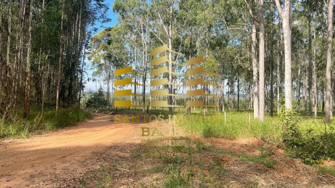 Fazenda / Haras à venda, 220m2 em Centro, Bauru - SP - imagem 4 Foto 4 de Fazenda / Haras à venda, 220m2 em Centro, Bauru - SP