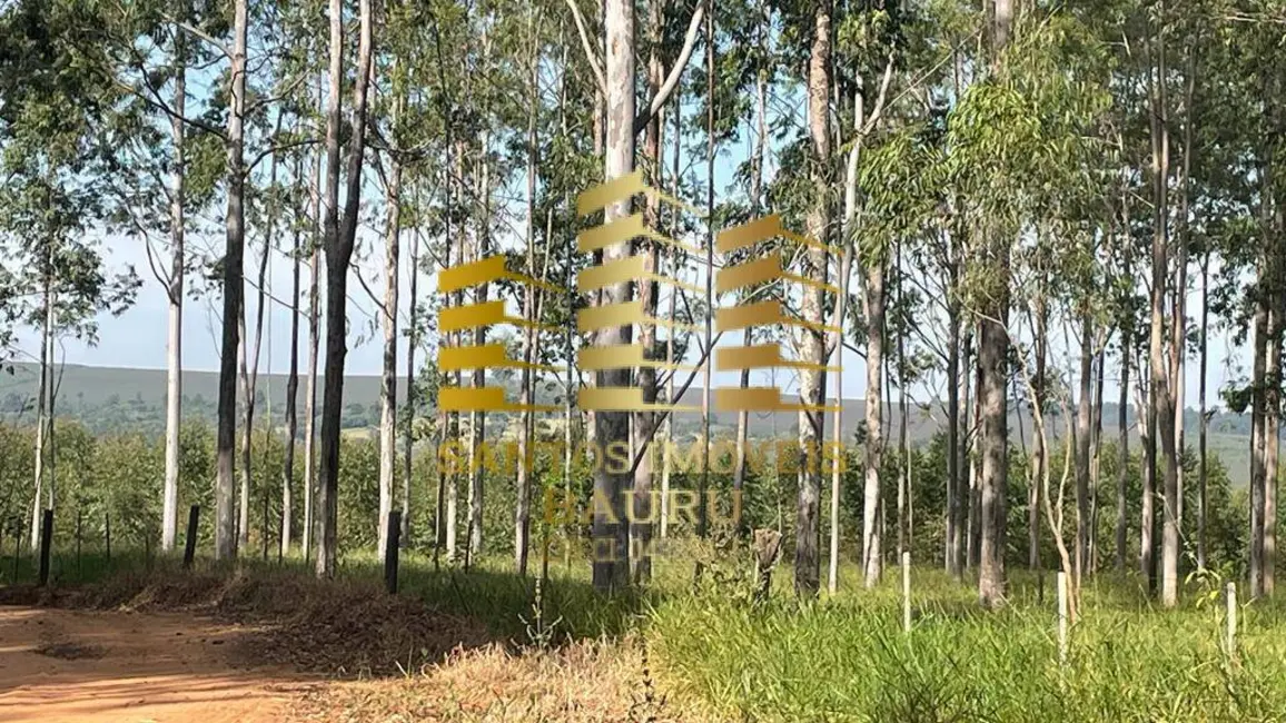 Fazenda / Haras à venda, 220m2 em Centro, Bauru - SP - imagem 5 Foto 5 de Fazenda / Haras à venda, 220m2 em Centro, Bauru - SP