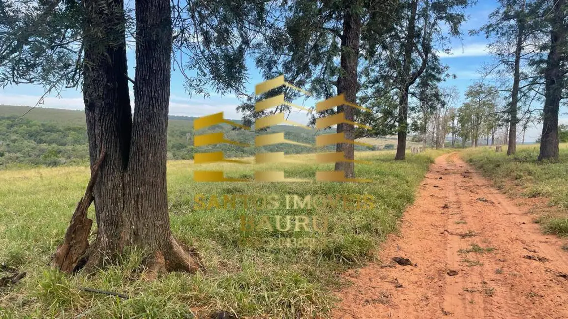 Fazenda / Haras à venda, 220m2 em Centro, Bauru - SP - imagem 7 Foto 7 de Fazenda / Haras à venda, 220m2 em Centro, Bauru - SP