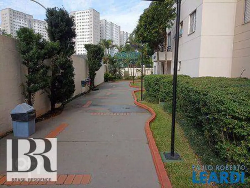 Foto 4 de Apartamento com 2 quartos à venda, 50m2 em Vila Arriete, São Paulo - SP