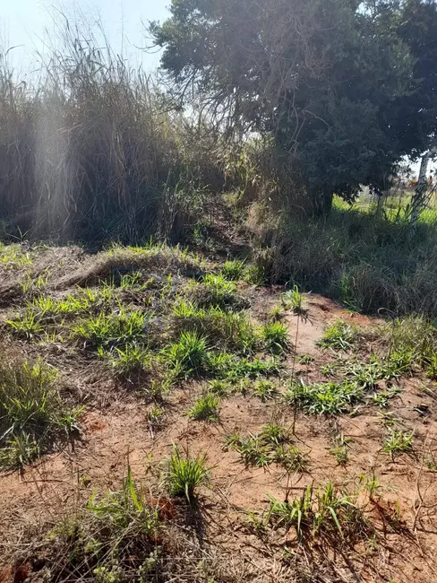 Foto 4 de Lote de Condomínio à venda, 275m2 em Vale do Igapó, Bauru - SP