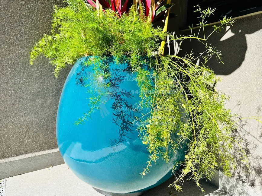 Foto 7 de Casa com 3 quartos à venda, 300m2 em Jardim Colonial, Bauru - SP