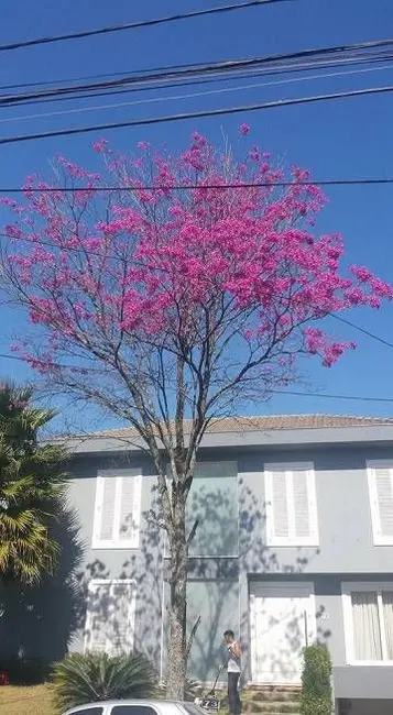 Foto 2 de Casa de Condomínio com 4 quartos à venda, 461m2 em Barueri - SP