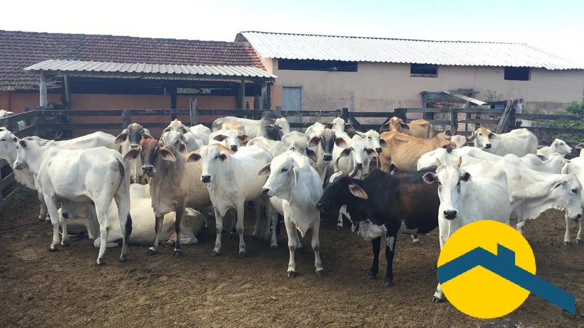 Foto 21 de Chácara à venda, 520000m2 em Araruama - RJ