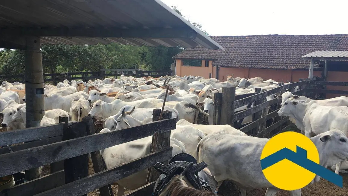 Foto 17 de Chácara à venda, 520000m2 em Araruama - RJ