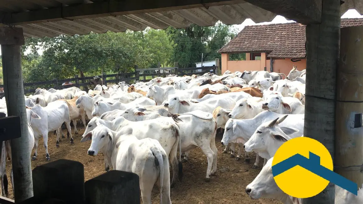 Foto 18 de Chácara à venda, 520000m2 em Araruama - RJ