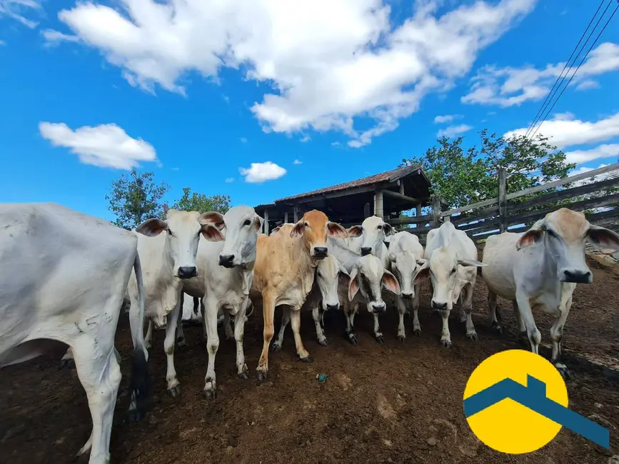 Foto 16 de Chácara à venda, 520000m2 em Araruama - RJ