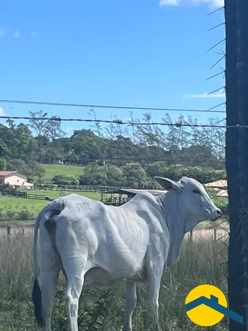 Foto 20 de Chácara à venda, 520000m2 em Araruama - RJ