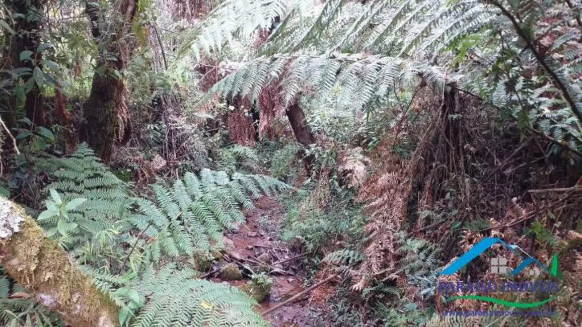 Terreno / Lote à venda, 39m2 em Centro, Goncalves - MG - imagem 7 Foto 7 de Terreno / Lote à venda, 39m2 em Centro, Goncalves - MG