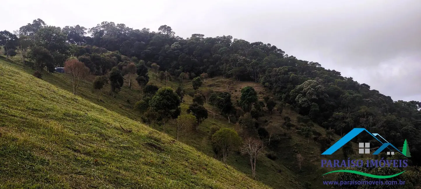 Foto 33 de Chácara à venda, 20000m2 em Centro, Goncalves - MG
