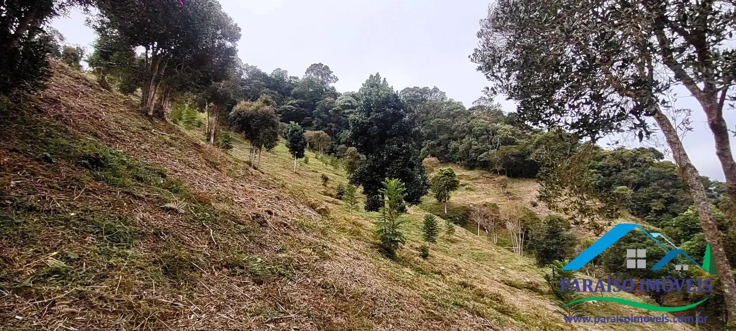Foto 30 de Chácara à venda, 20000m2 em Centro, Goncalves - MG