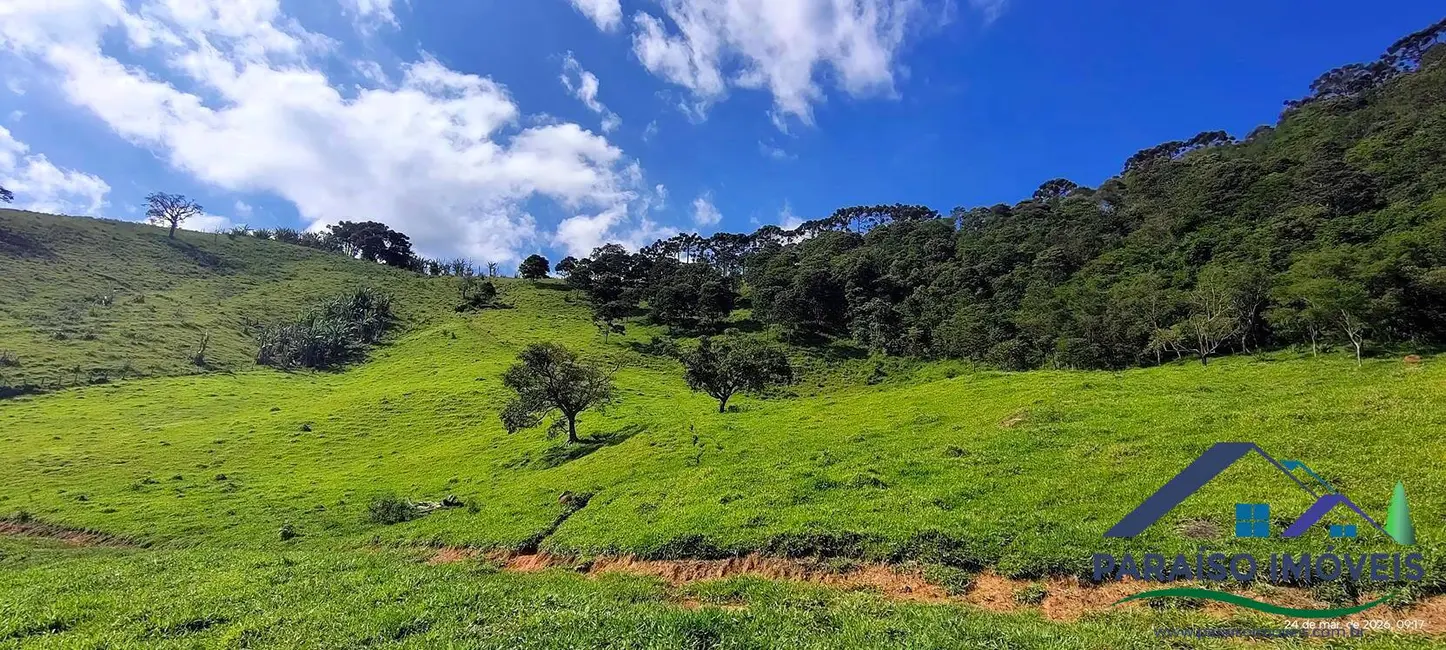 Foto 4 de Terreno / Lote à venda, 41m2 em Centro, Sao Bento Do Sapucai - SP