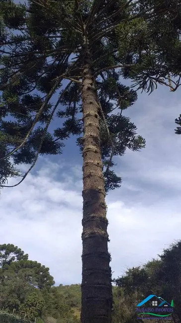 Terreno / Lote à venda, 113740m2 em Centro, Goncalves - MG - imagem 5 Foto 5 de Terreno / Lote à venda, 113740m2 em Centro, Goncalves - MG