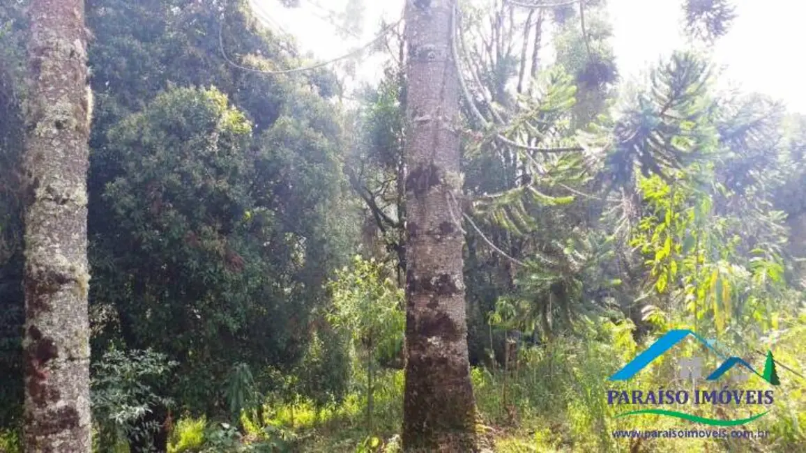 Terreno / Lote à venda, 113740m2 em Centro, Goncalves - MG - imagem 6 Foto 6 de Terreno / Lote à venda, 113740m2 em Centro, Goncalves - MG