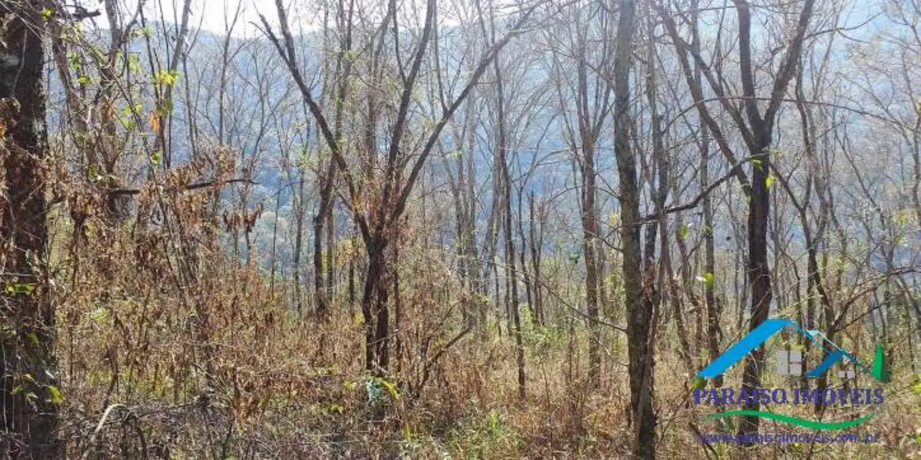 Chácara à venda, 155m2 em Centro, Paraisopolis - MG - imagem 13 Foto 13 de Chácara à venda, 155m2 em Centro, Paraisopolis - MG