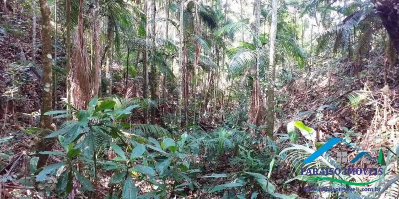 Chácara à venda, 155m2 em Centro, Paraisopolis - MG - imagem 18 Foto 18 de Chácara à venda, 155m2 em Centro, Paraisopolis - MG