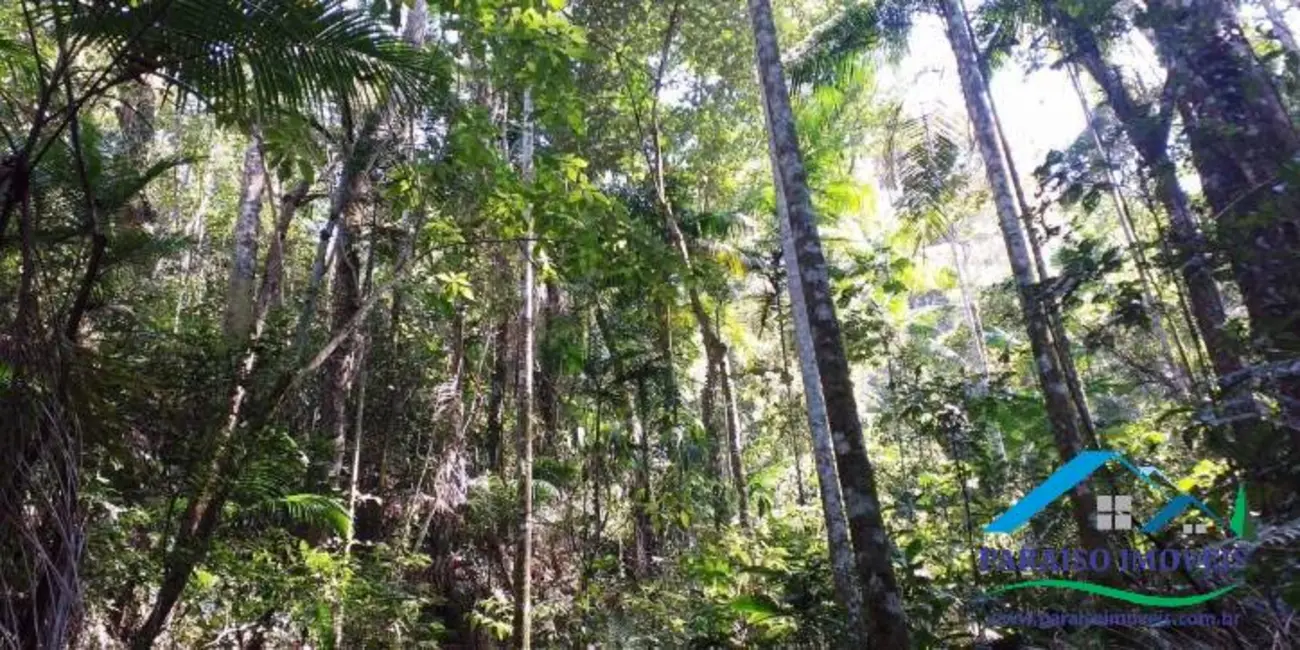 Chácara à venda, 155m2 em Centro, Paraisopolis - MG - imagem 16 Foto 16 de Chácara à venda, 155m2 em Centro, Paraisopolis - MG