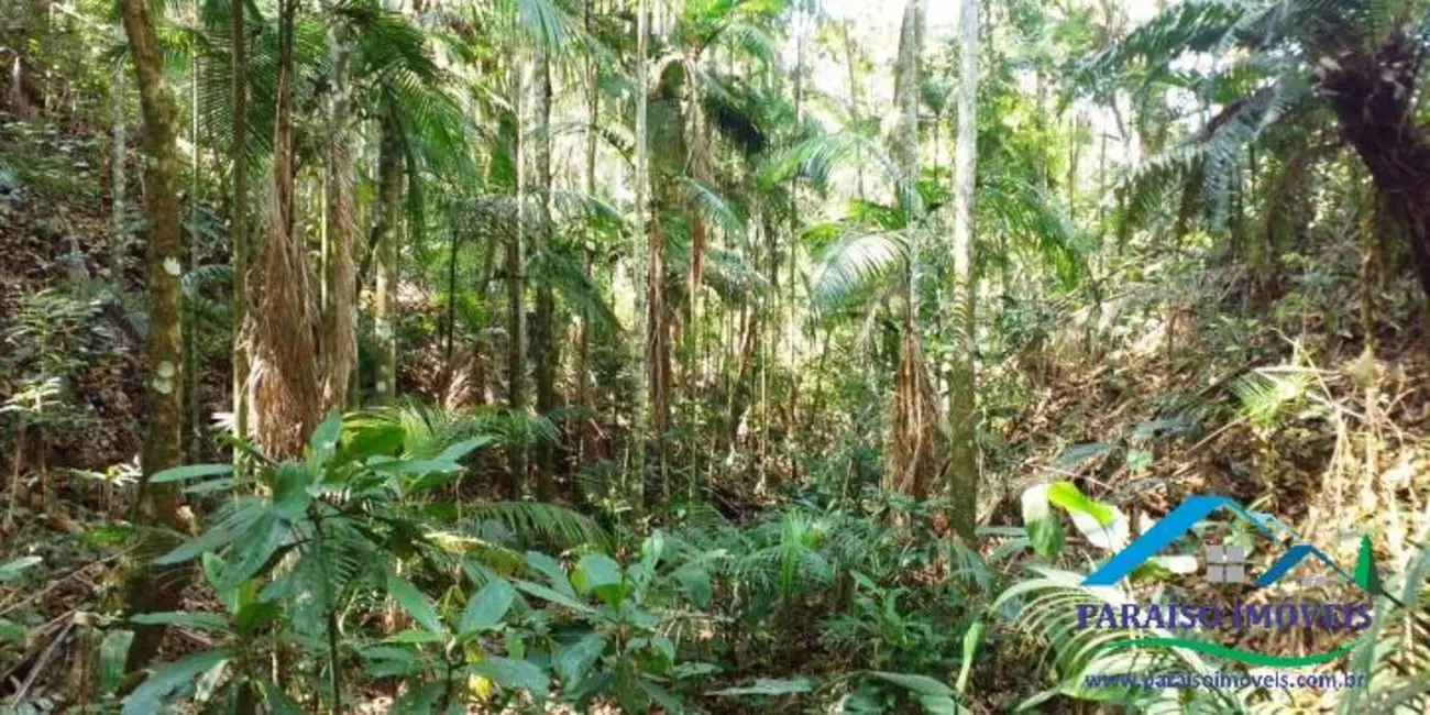 Chácara à venda, 155m2 em Centro, Paraisopolis - MG - imagem 19 Foto 19 de Chácara à venda, 155m2 em Centro, Paraisopolis - MG