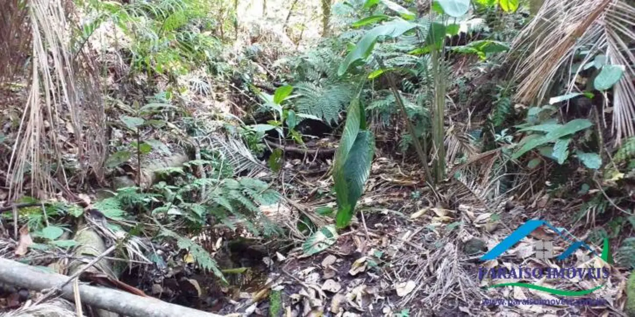 Chácara à venda, 155m2 em Centro, Paraisopolis - MG - imagem 14 Foto 14 de Chácara à venda, 155m2 em Centro, Paraisopolis - MG