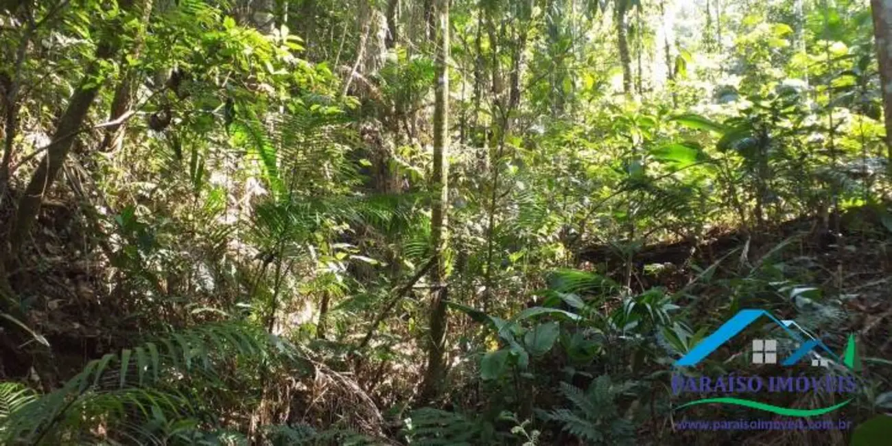 Chácara à venda, 155m2 em Centro, Paraisopolis - MG - imagem 10 Foto 10 de Chácara à venda, 155m2 em Centro, Paraisopolis - MG