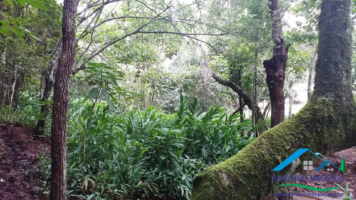 Chácara à venda em Centro, Paraisopolis - MG - imagem 19 Foto 19 de Chácara à venda em Centro, Paraisopolis - MG