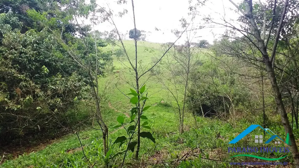 Chácara à venda em Centro, Paraisopolis - MG - imagem 8 Foto 8 de Chácara à venda em Centro, Paraisopolis - MG