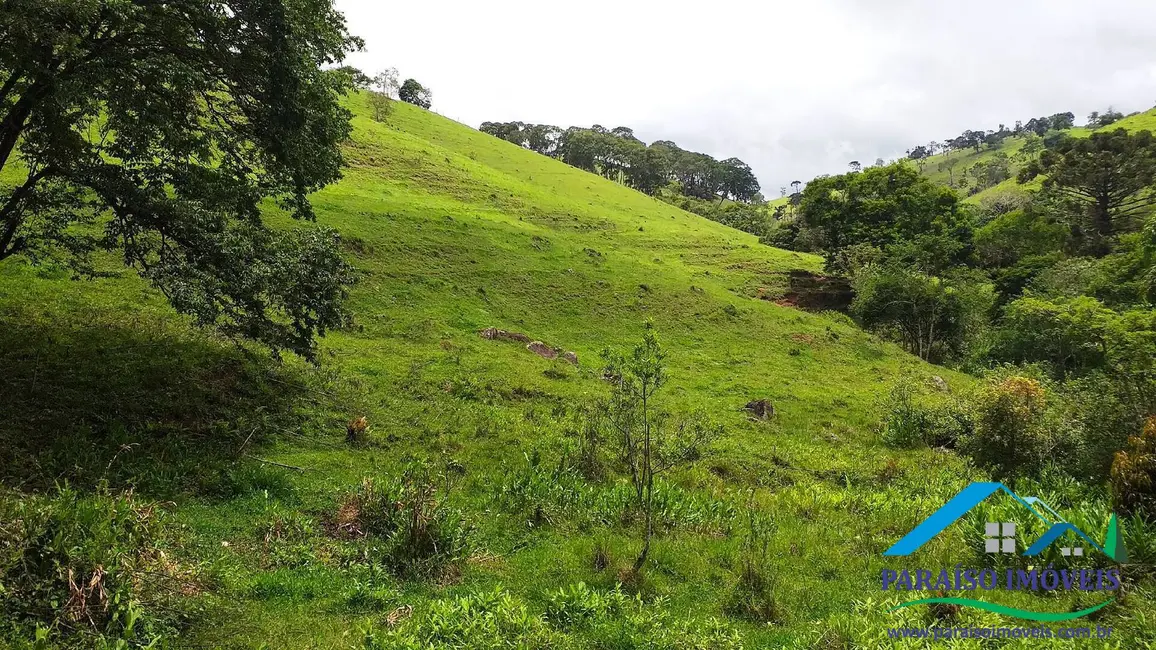 Chácara à venda em Centro, Paraisopolis - MG - imagem 11 Foto 11 de Chácara à venda em Centro, Paraisopolis - MG