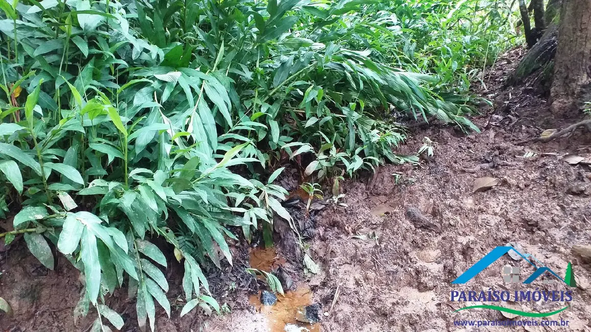 Chácara à venda em Centro, Paraisopolis - MG - imagem 10 Foto 10 de Chácara à venda em Centro, Paraisopolis - MG