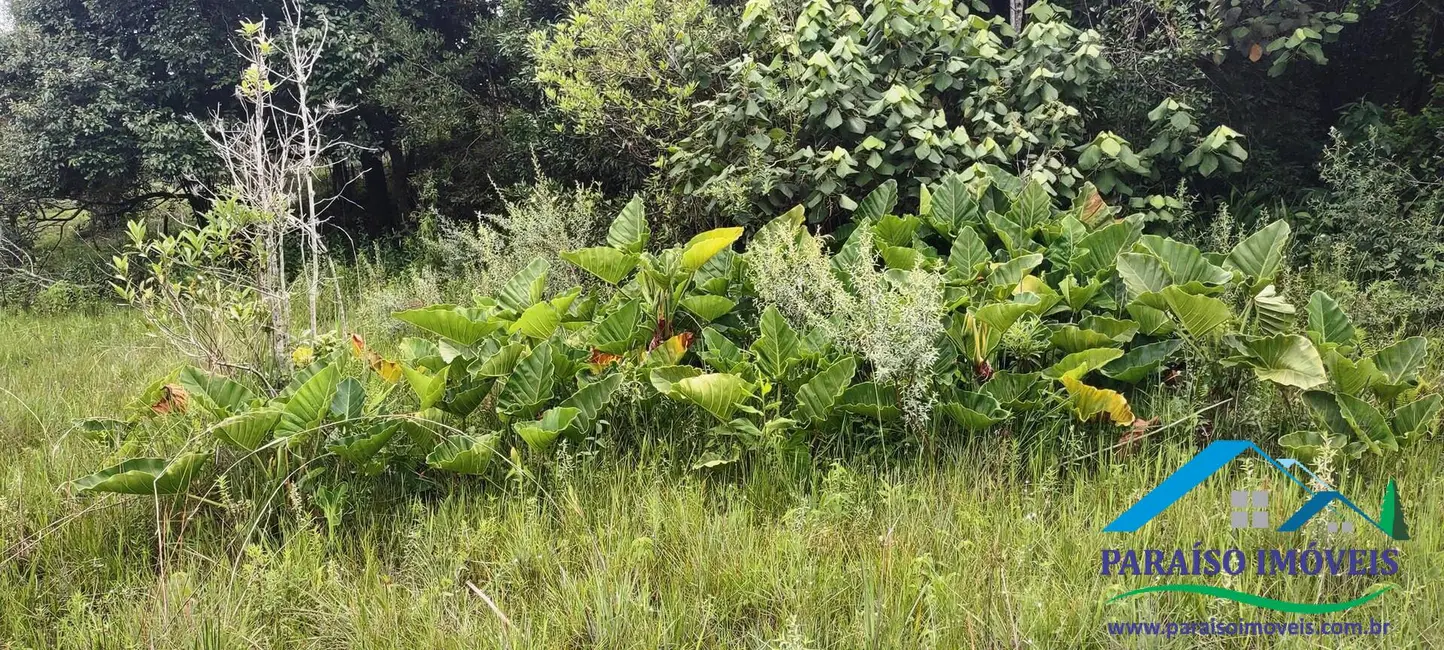 Chácara à venda, 16m2 em Centro, Paraisopolis - MG - imagem 16 Foto 16 de Chácara à venda, 16m2 em Centro, Paraisopolis - MG