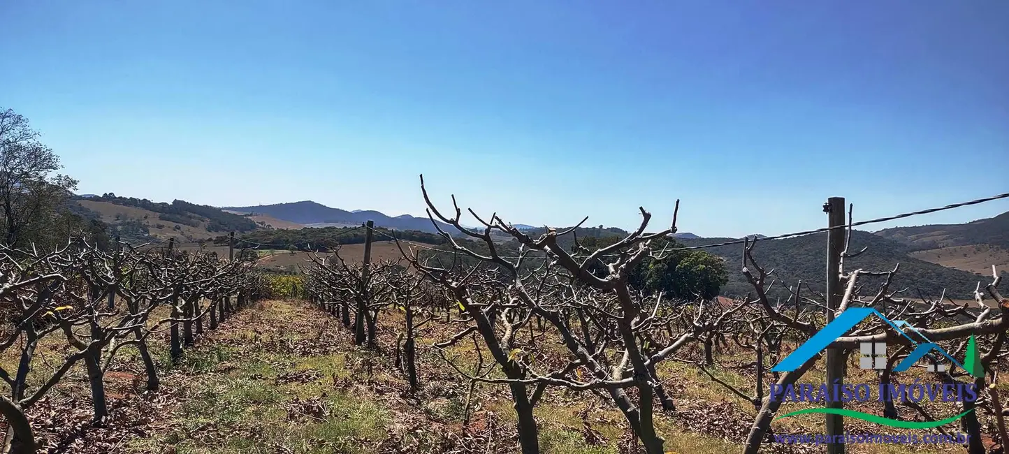 Chácara à venda, 44m2 em Centro, Paraisopolis - MG - imagem 45 Foto 45 de Chácara à venda, 44m2 em Centro, Paraisopolis - MG