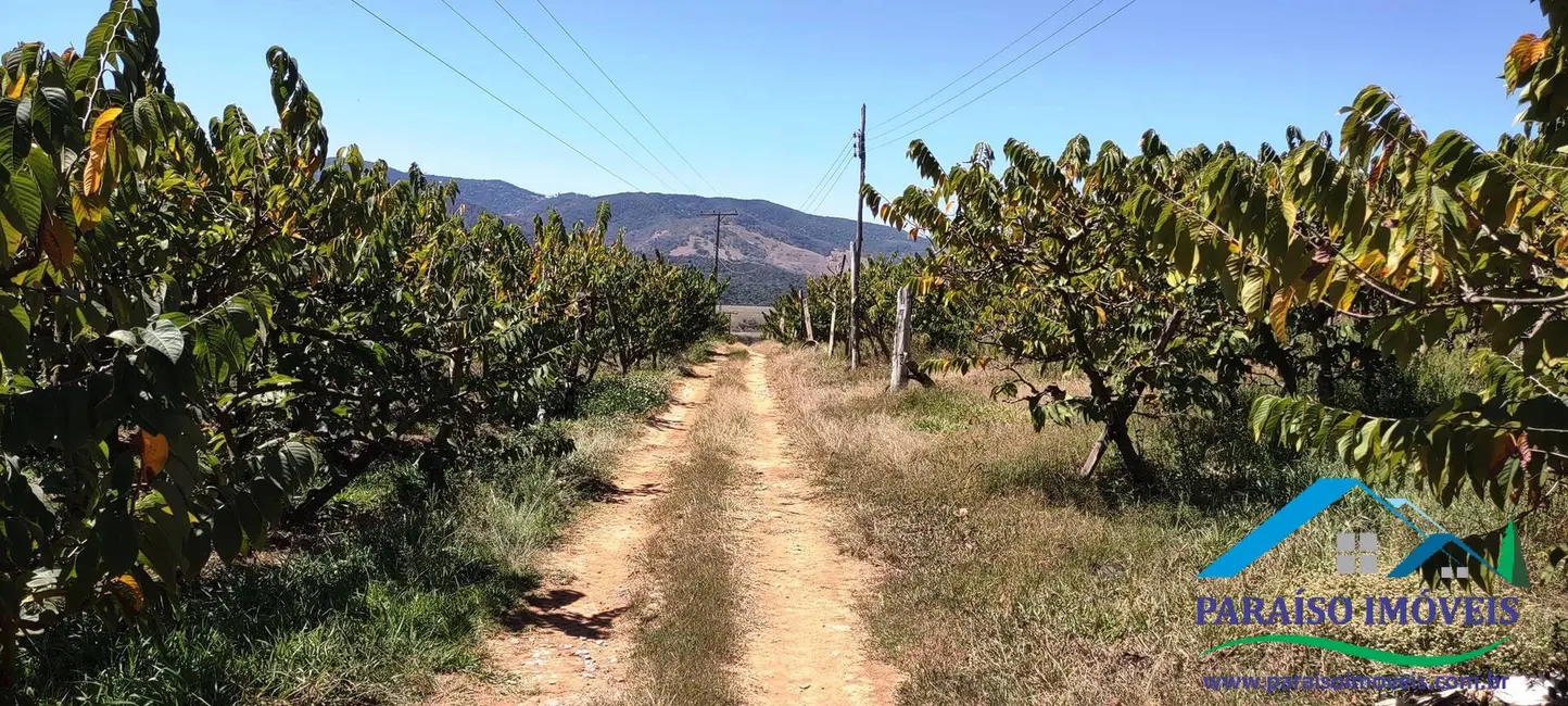 Chácara à venda, 44m2 em Centro, Paraisopolis - MG - imagem 59 Foto 59 de Chácara à venda, 44m2 em Centro, Paraisopolis - MG